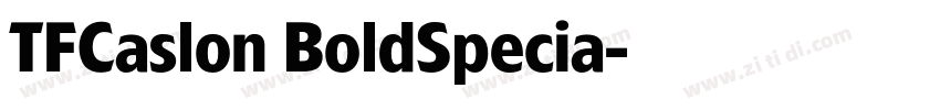 TFCaslon BoldSpecia字体转换